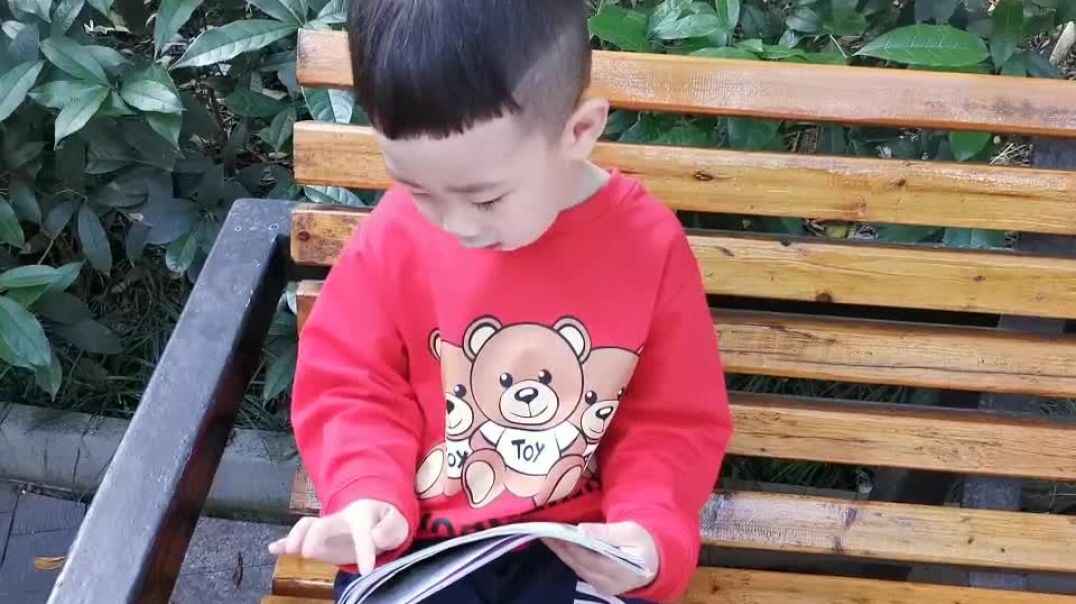 我的书
