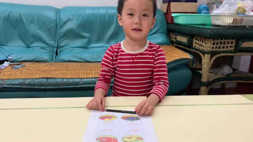 水果分类连线.MOV