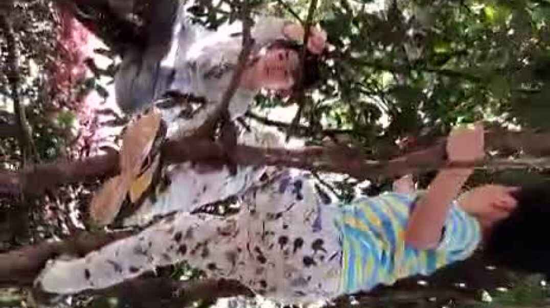 和小伙伴一起玩