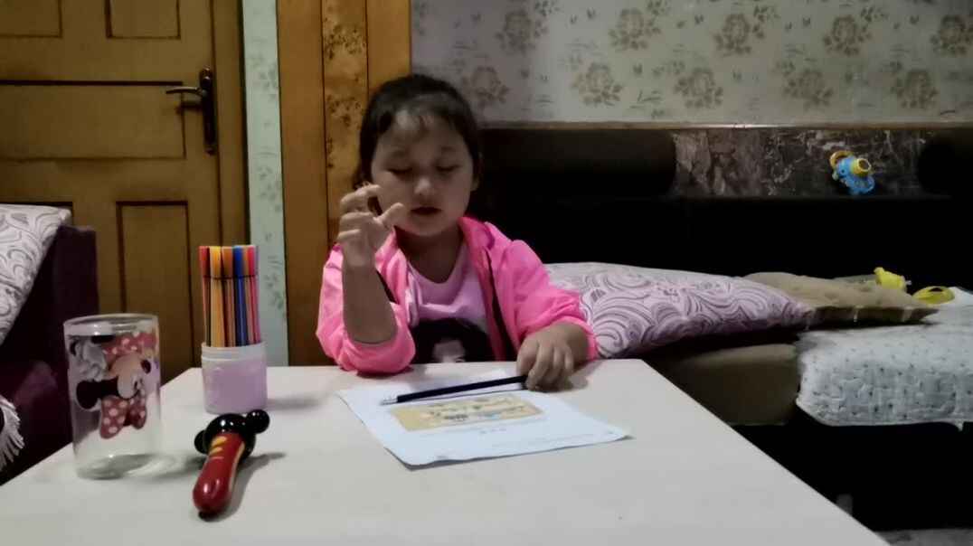 数玩具柜里玩具的数量