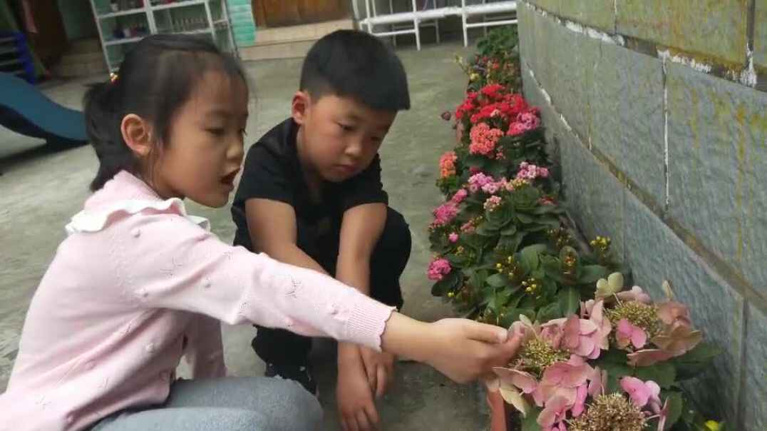花朵真漂亮