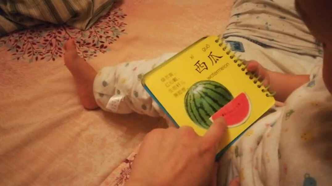 认识水果