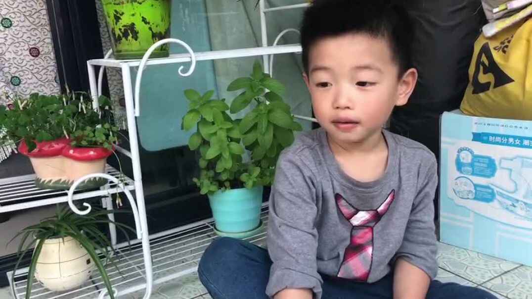 看我的植物