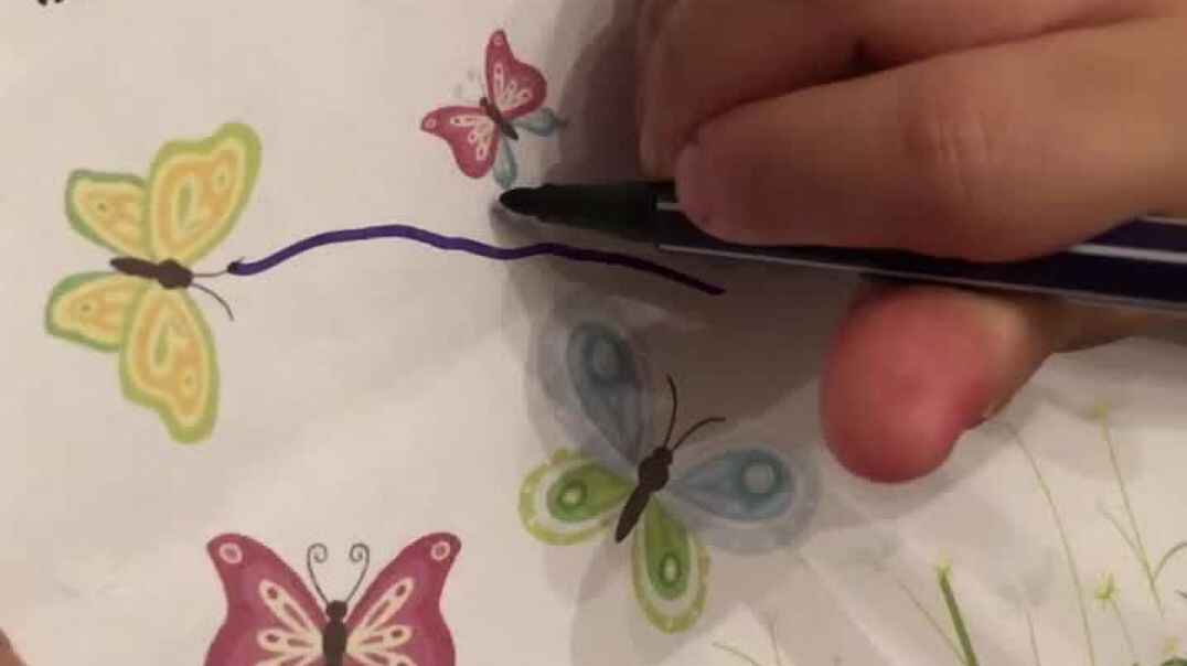 996573ED-125E-4EBC-8120-A9EA016DEEEE.MOV