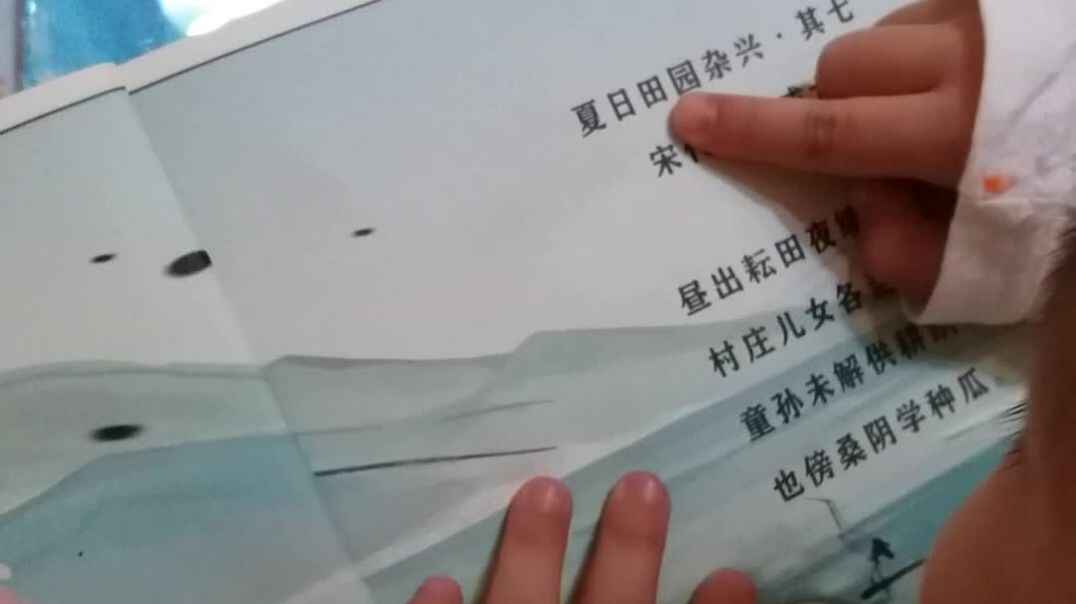 夏日田园杂兴.mp4