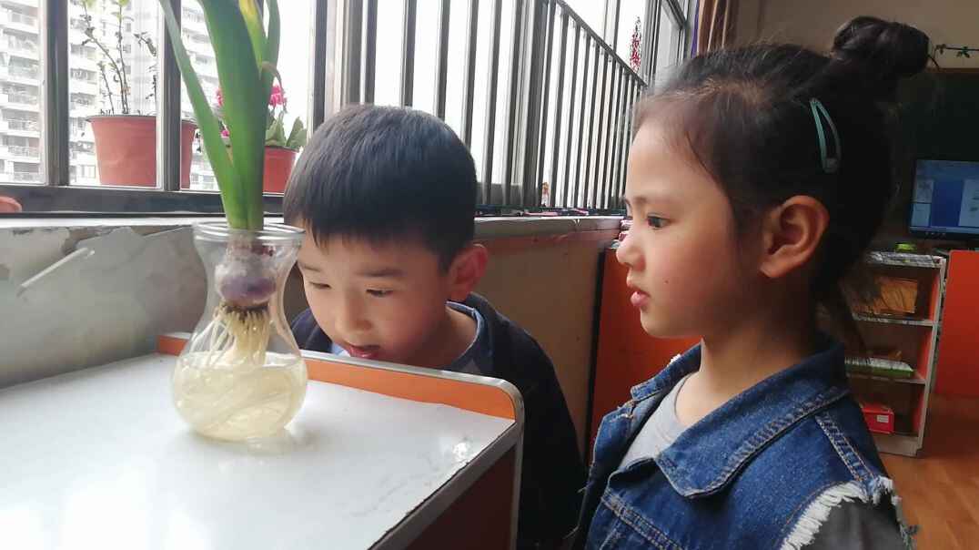 行动课程 表达能力