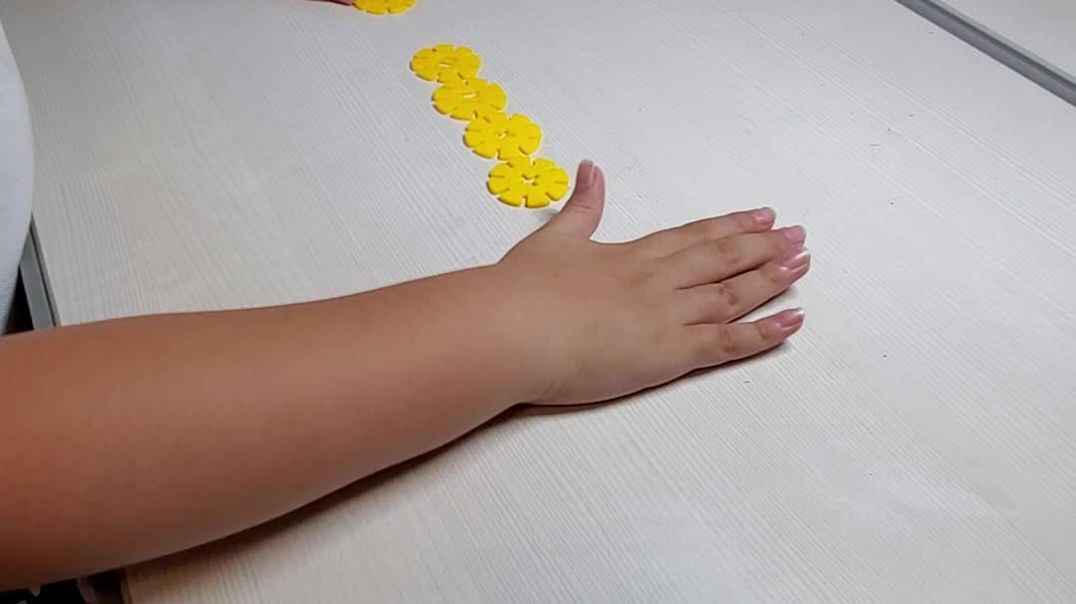 数学2-5分解和组合 学前3班刘楚焓