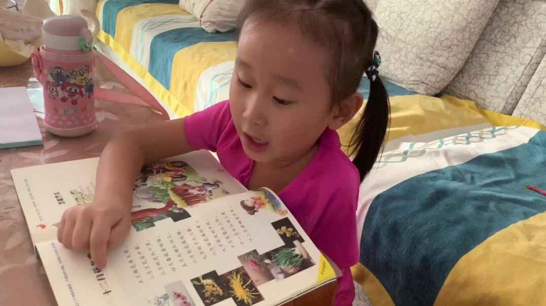 大A班严一晨   十二月花名歌