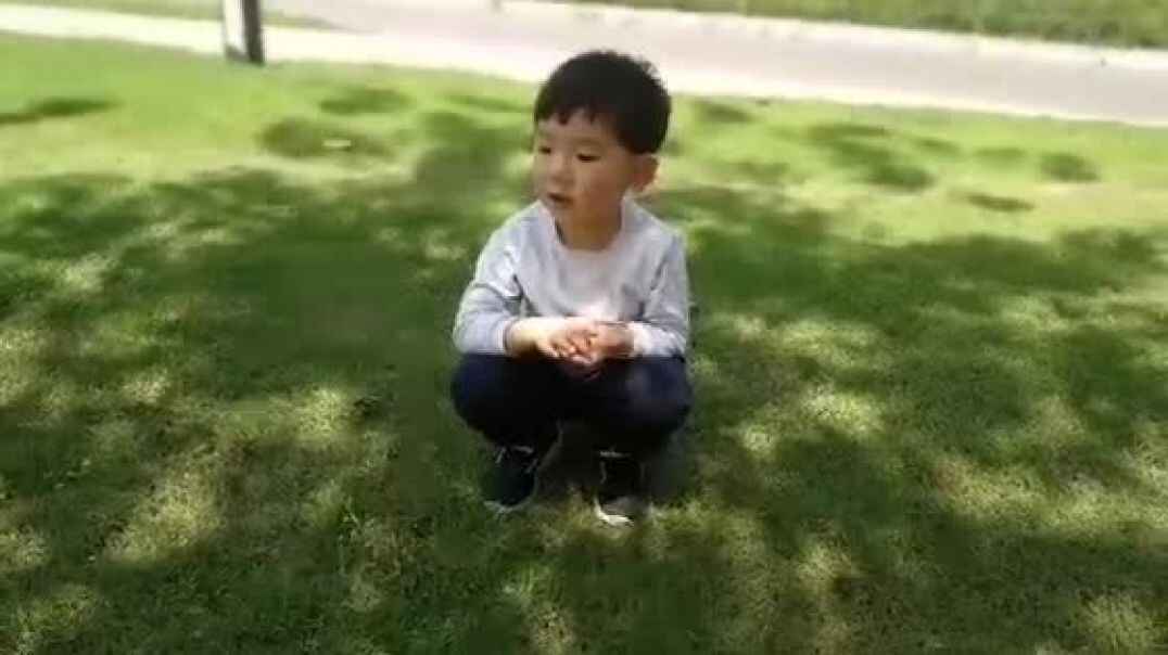 小草的生长过程