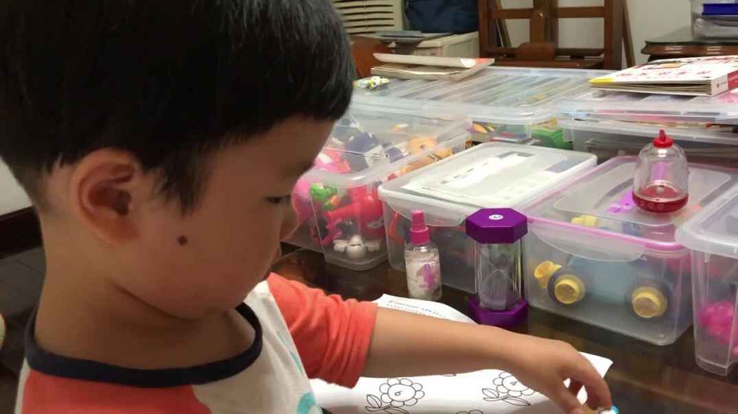 实验中班5号小朋友作业反馈