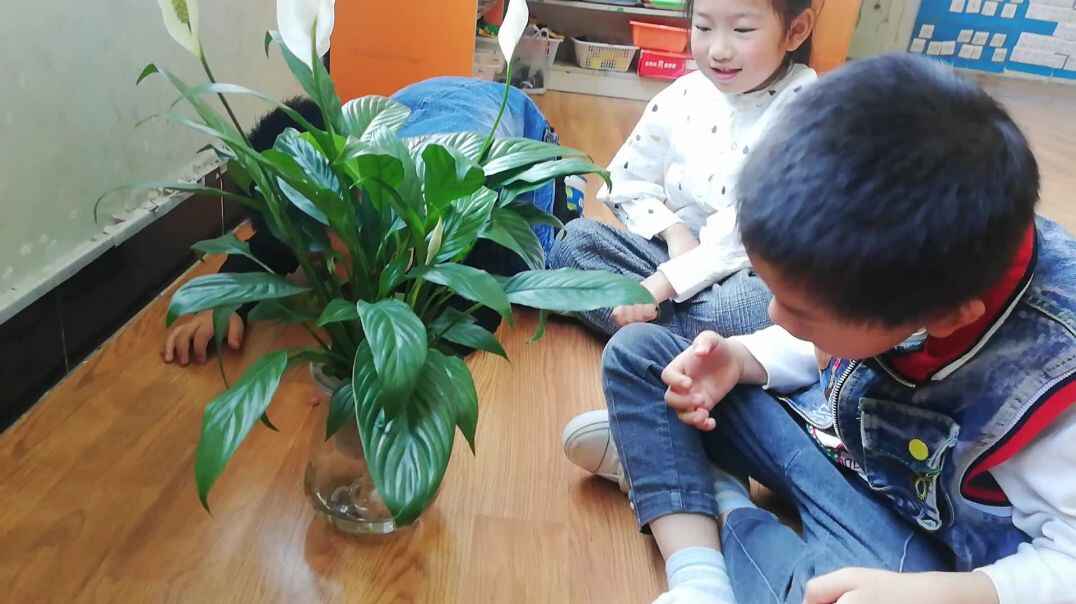认知课程  逻辑思维
