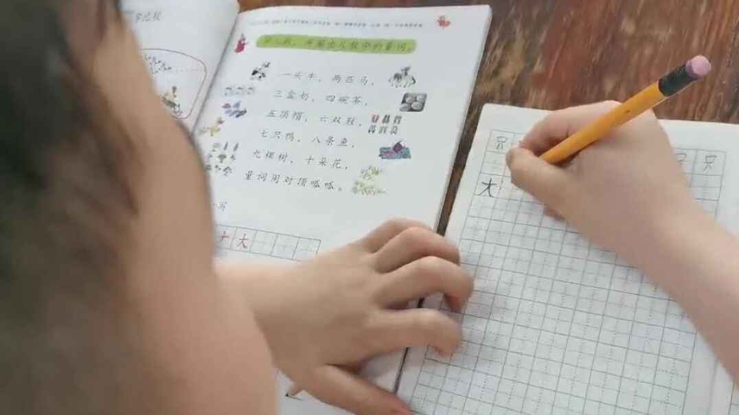 爱学习哦