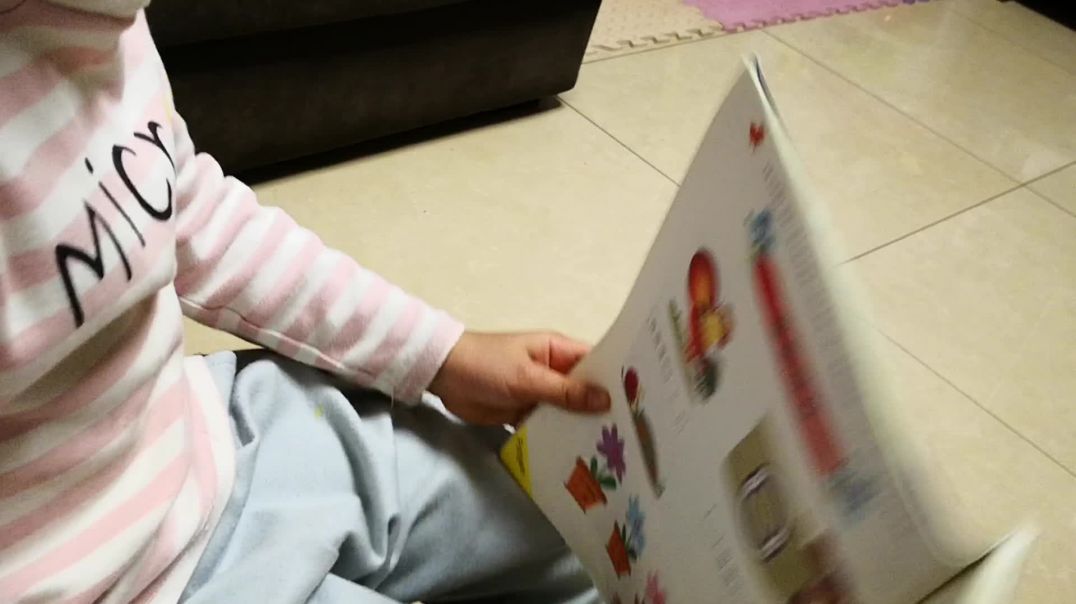 VID_20190916_201934.mp4