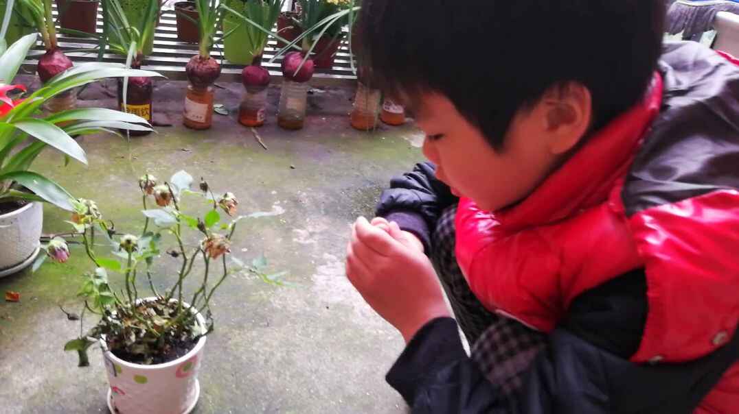 行动课程 表达能力