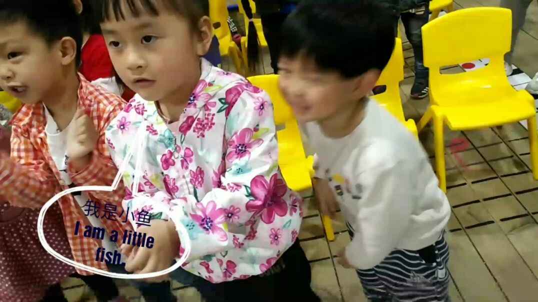 我是大鲨鱼.