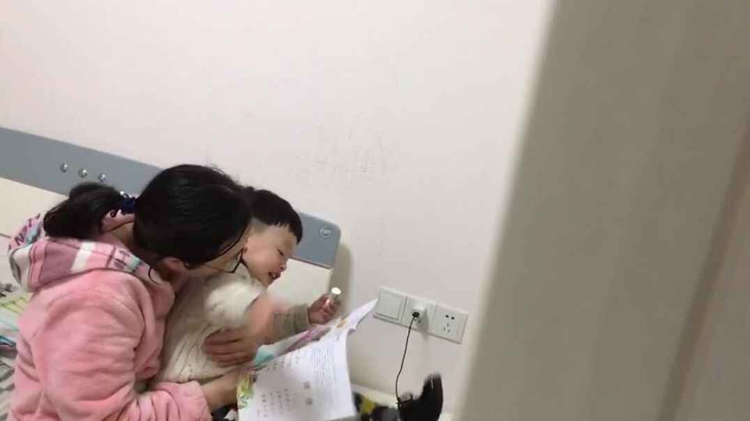 呆呆的不倒翁