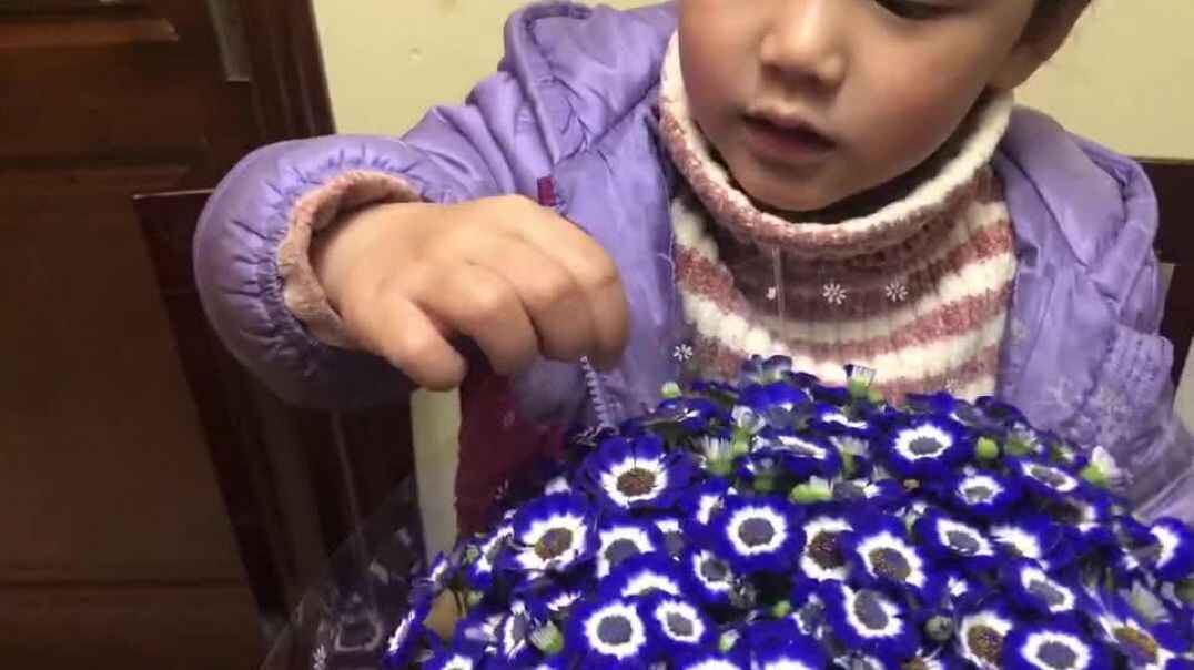 绣球花