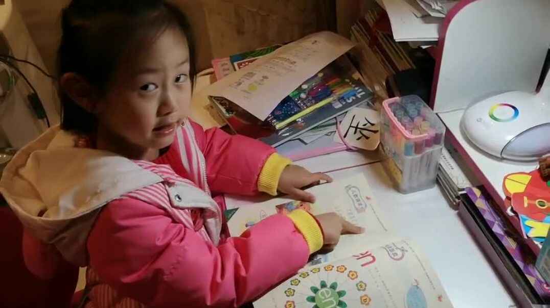 学习开始了