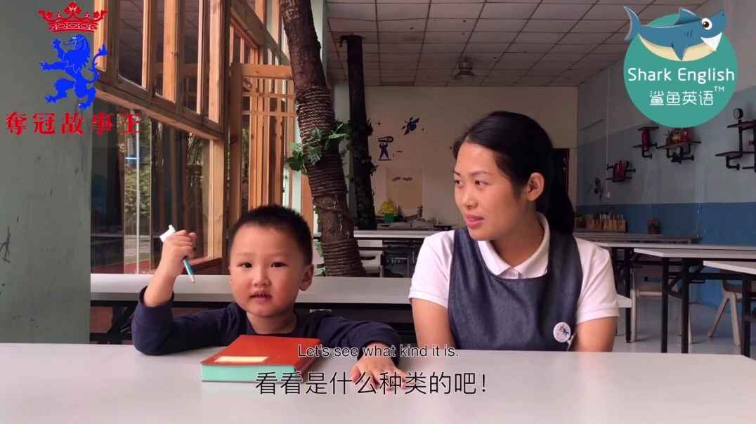 夺冠故事王58期作品——铅笔在哪里？