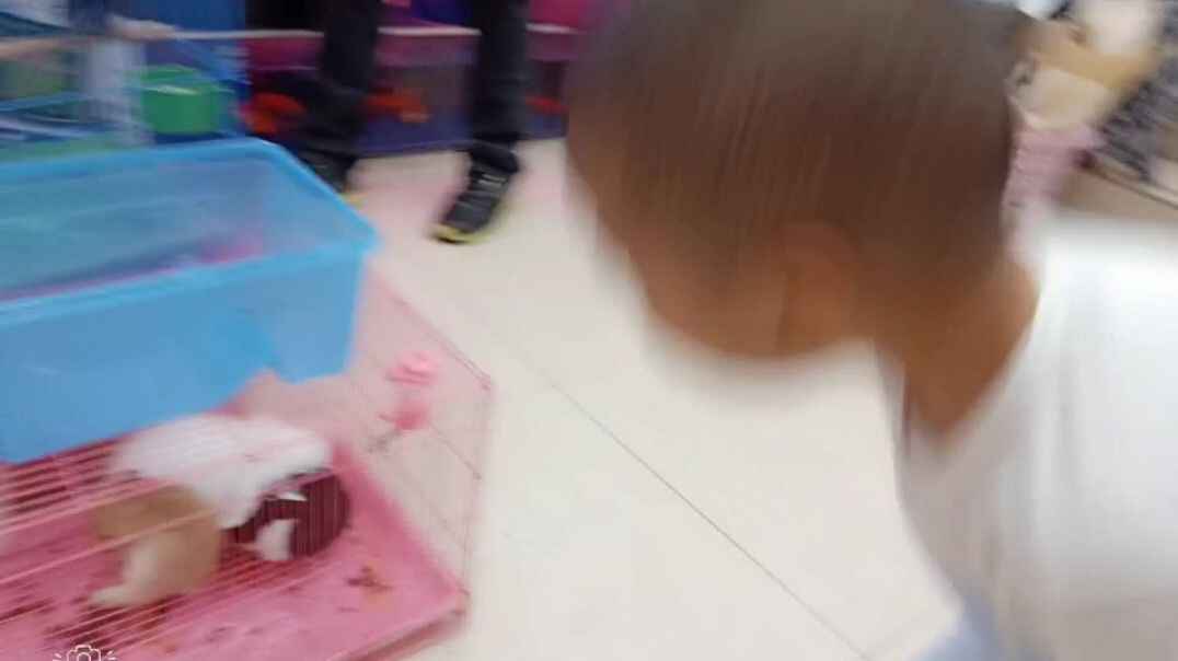 WuTa_2019-09-16_19-44-07.mp4