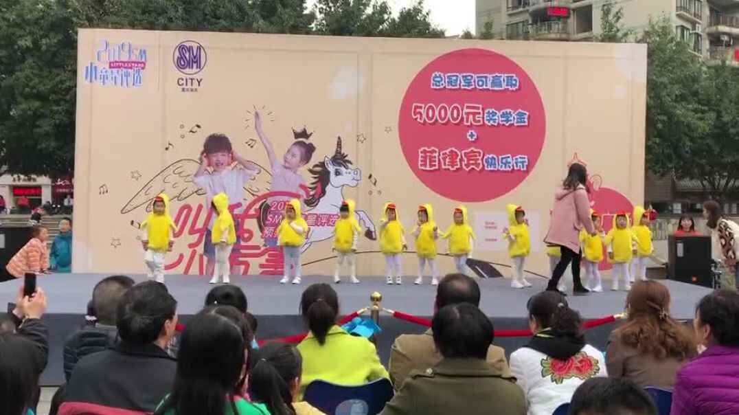 一群小黄鸭