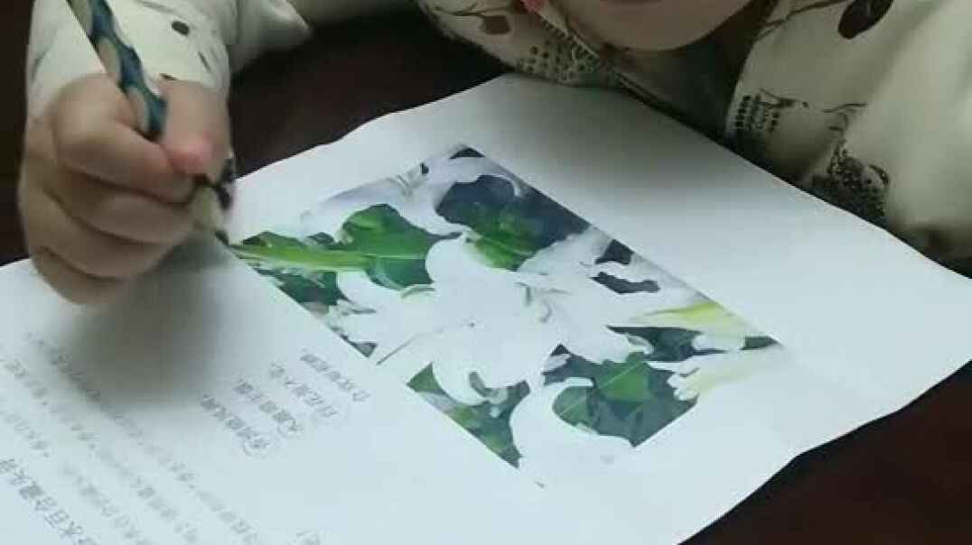 和小美一起写一写