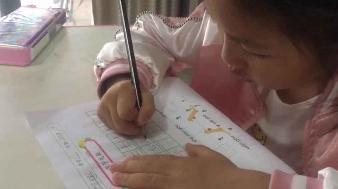 作业练习 2