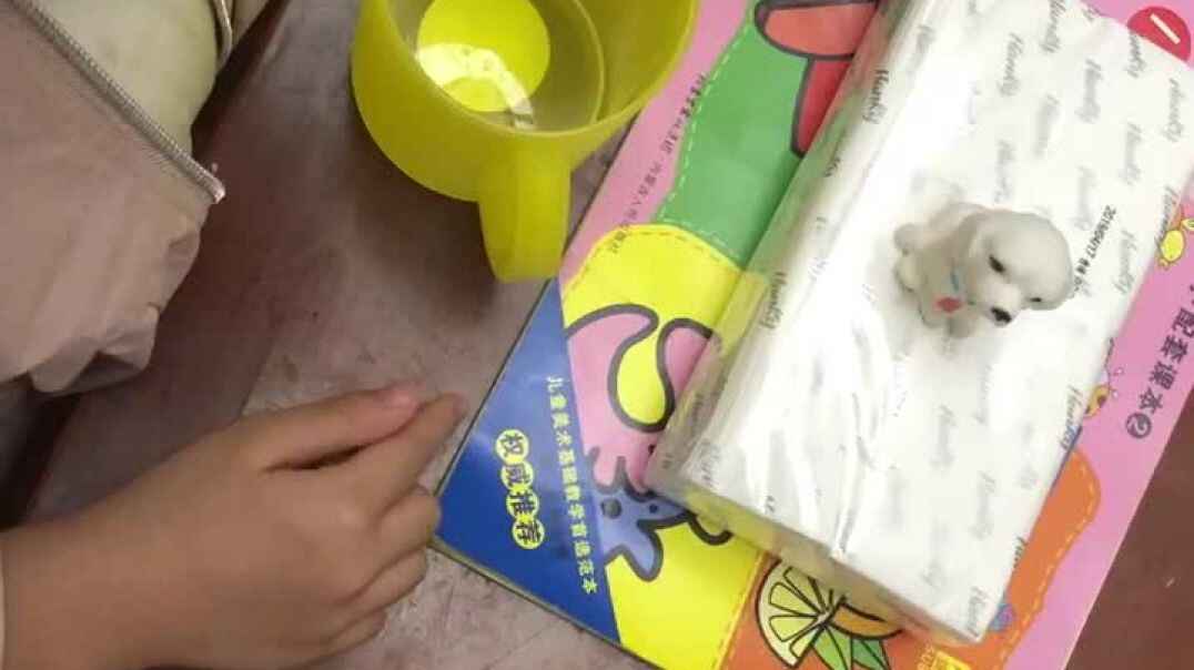 895397C0-B82D-4642-B56F-BC0838E213B8.MOV