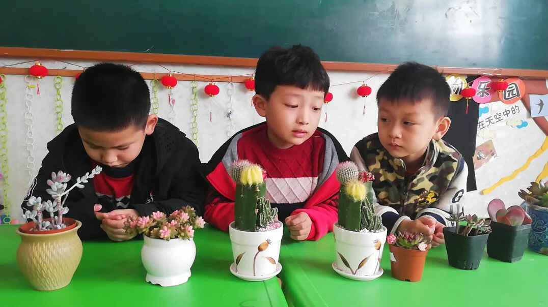 行动课程  表达能力 (3）