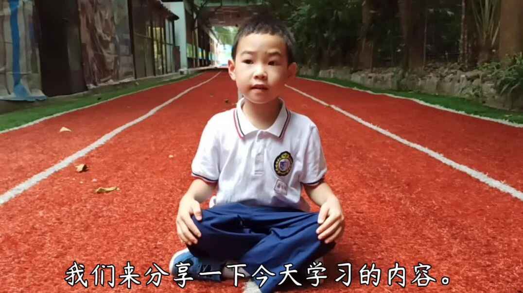 认识声母b和比多少