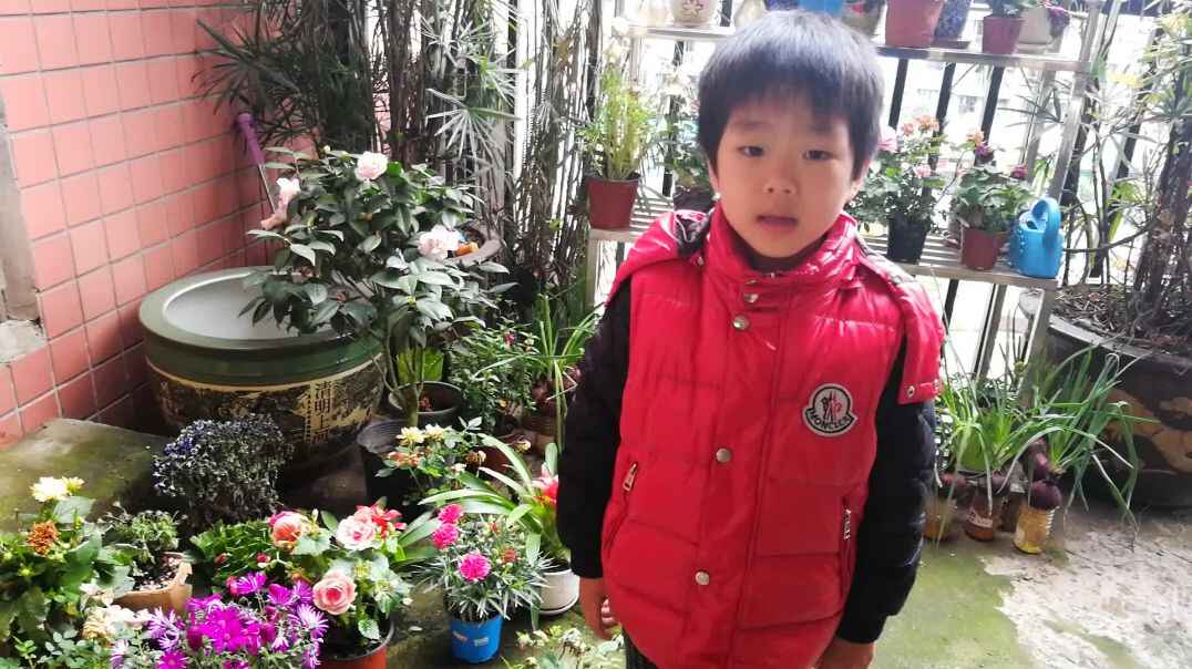 行动课程 表达能力