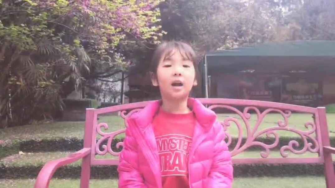 看看弟子规