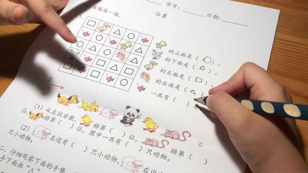 做一做看一看