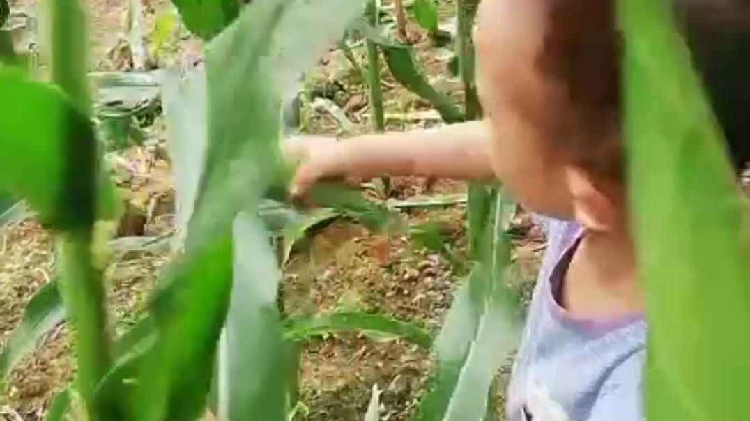 VUE_20190901115737.mp4