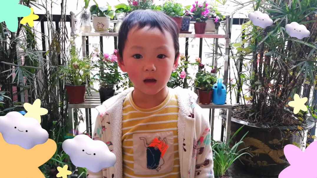 花的种子
