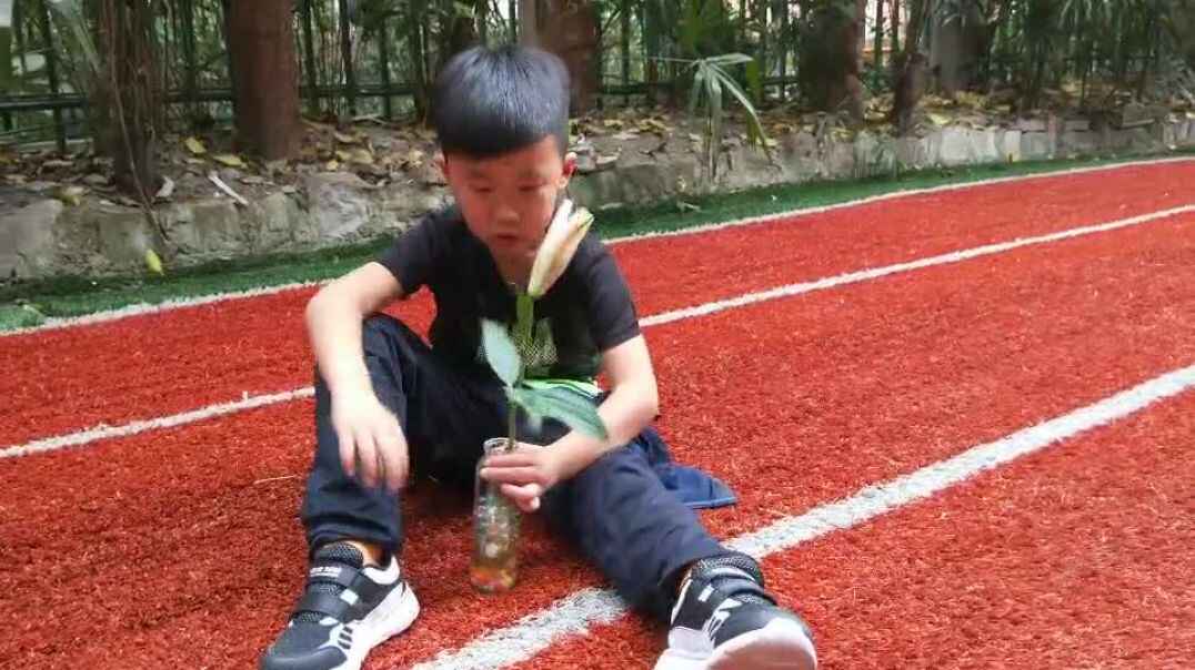有趣的瓶子