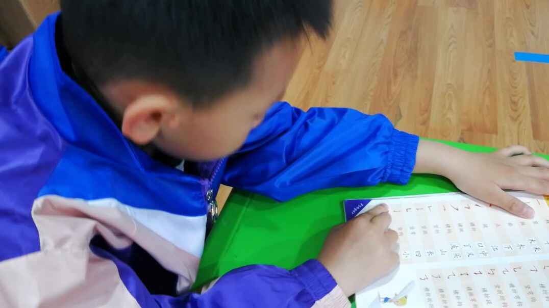 认知课程  语文能力 (2)