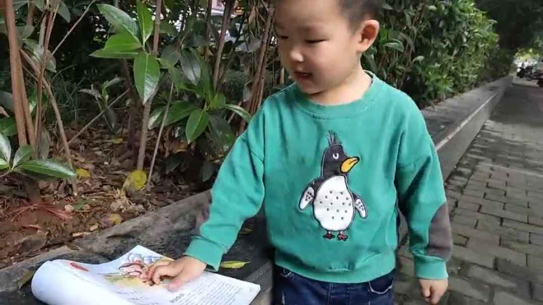 看书的小男孩