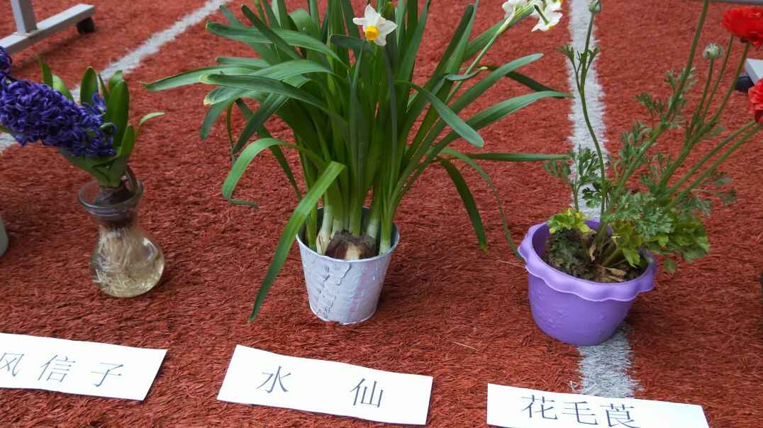 舞台艺术