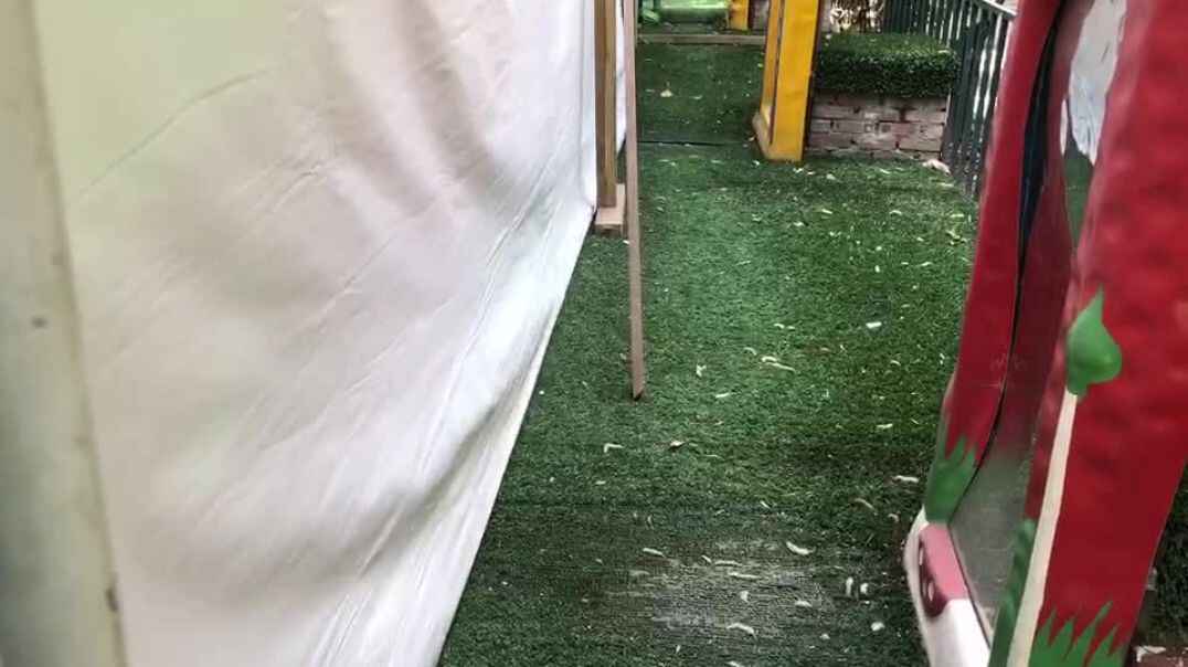 我们的乐趣