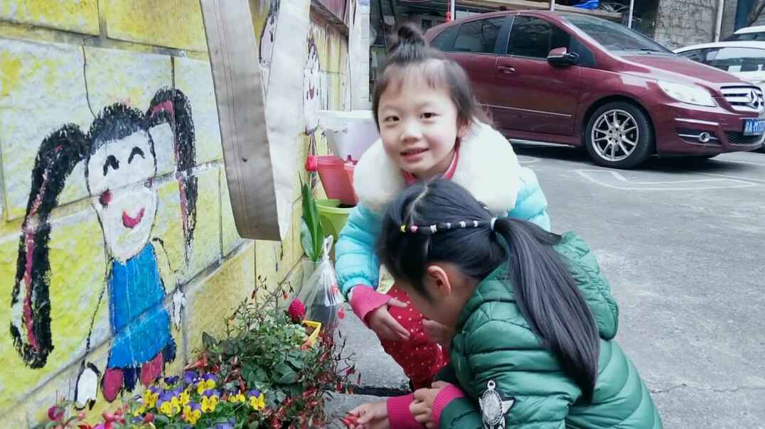 观看花草