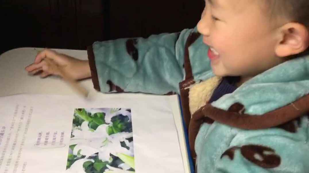 和辰辰一起写一写