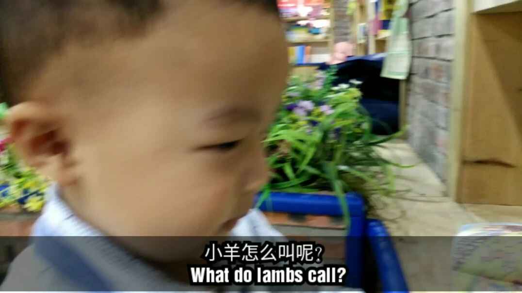 “小羊”咩咩咩