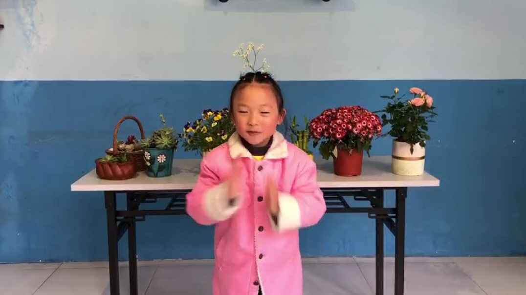 我的表演