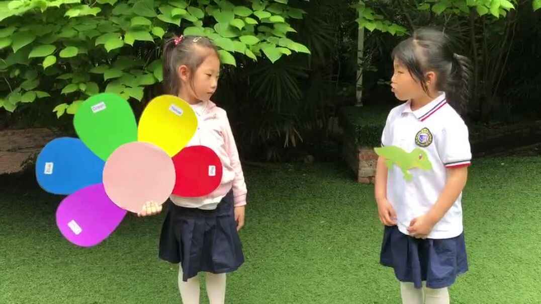 我的故事