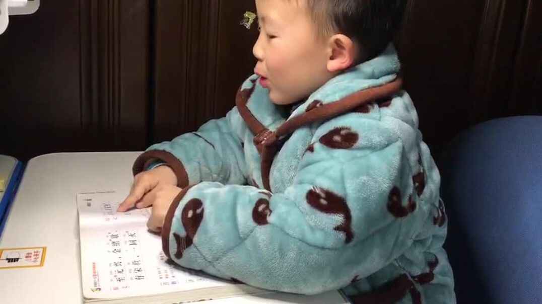 辰辰的花