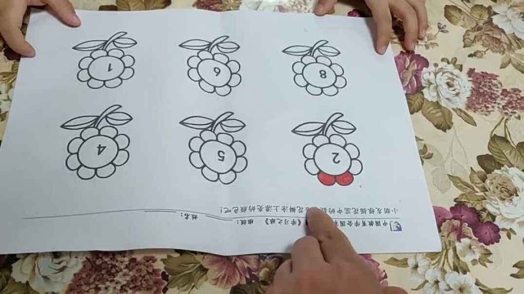 2019-9-26实验中班14号张可欣家庭作业反馈