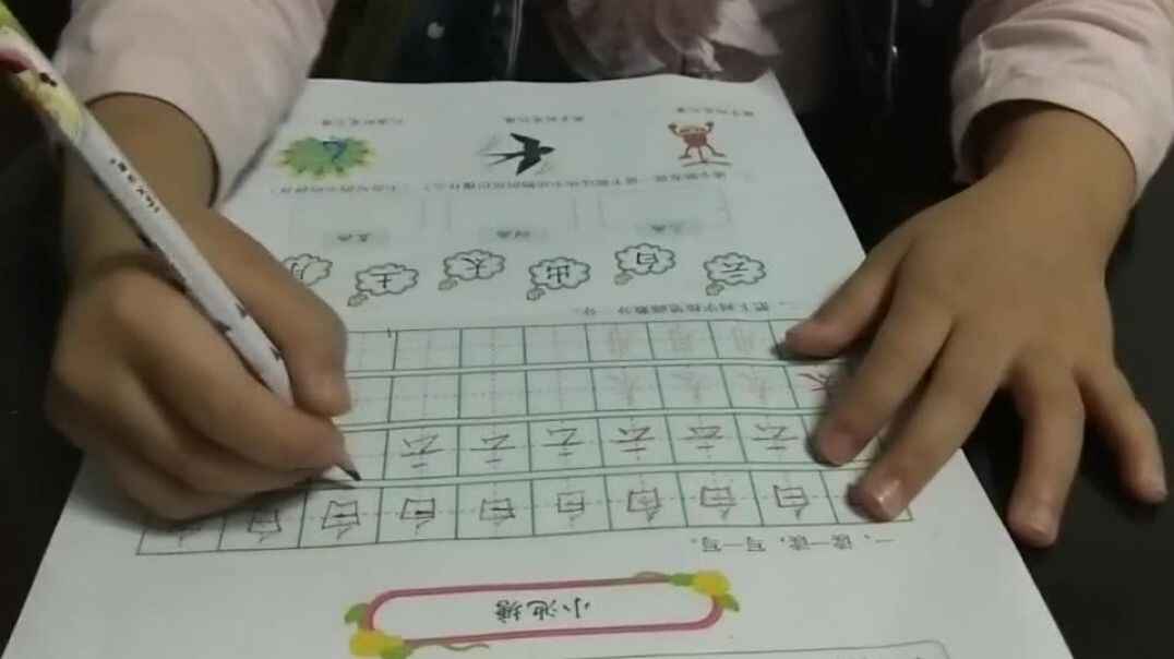 写一写5