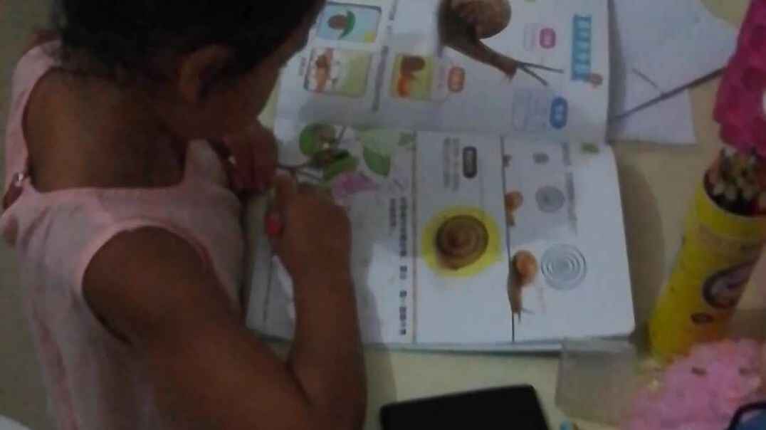 VID_20190903_214839.mp4