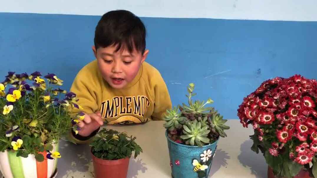 摸摸小花